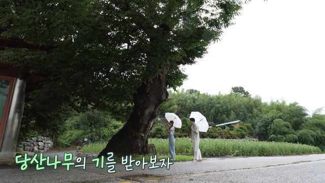 네트워크 현장! 고향이 보인다