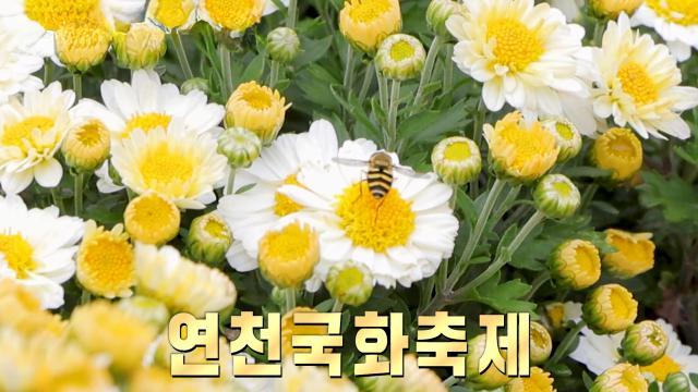 생방송 투데이