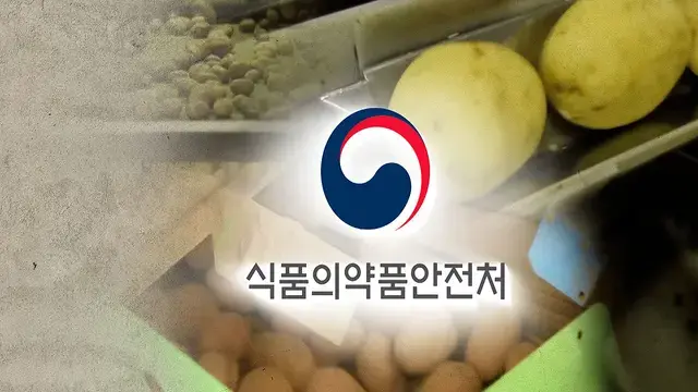 '안전성 심사만 9년째' GMO 감자... 뭐가 문제길래?