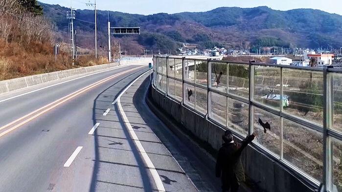 독수리 스티커도 효과 없다…투명 방음벽 못 넘고 '쿵'