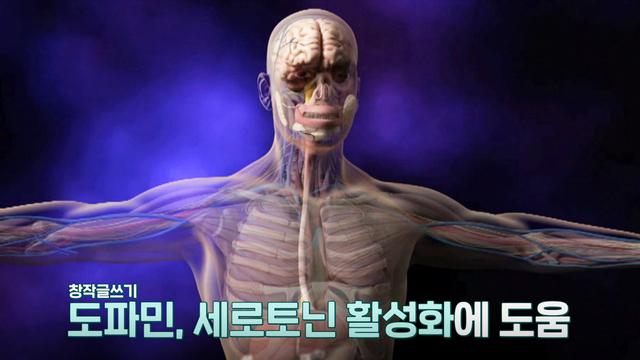 닥터 필생(生)기