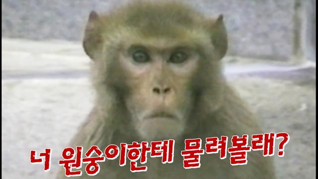 꼬리에 꼬리를 무는 그날 이야기