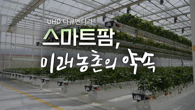 네트워크 특선_UHD 다큐멘터리 스마트팜, 미래농촌의 약속