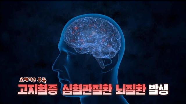 오메가3 부족 - 고지혈증, 심혈관질환, 뇌질환 발생