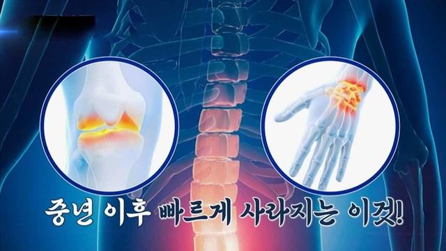 전신 노화의 주범, 콜라겐 감소! 