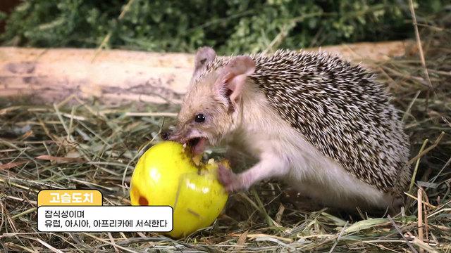 꾸러기 탐구생활